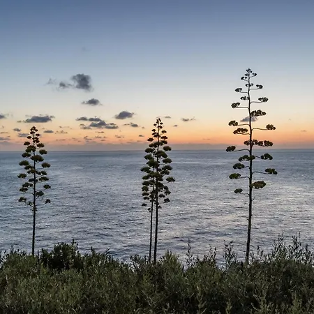 빌라 Sea House Capo Zafferano *
