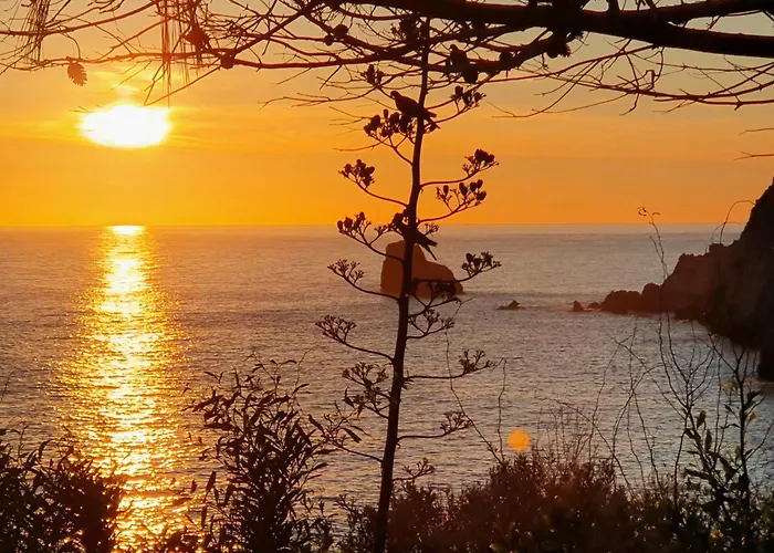 Capo Zafferano